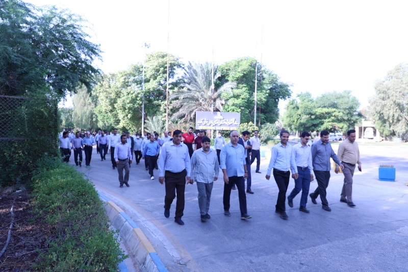 همایش پیاده روی 4