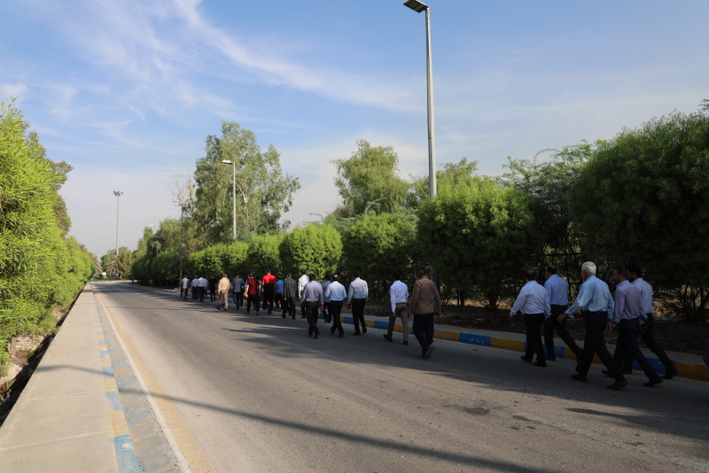 همایش پیاده روی 7