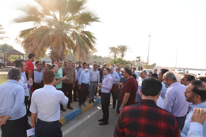 همایش پیاده روی 13