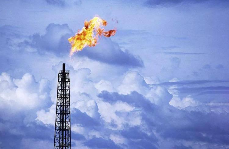 جشنواره محیط زیست 2