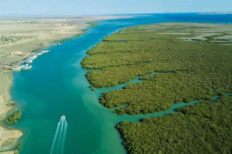 جشنواره محیط زیست 3