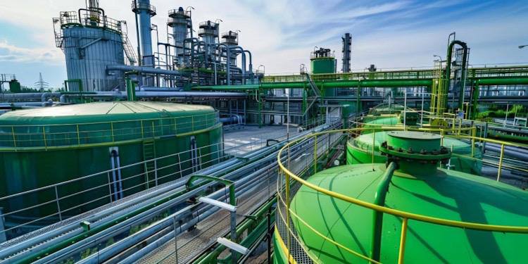 جشنواره محیط زیست 4