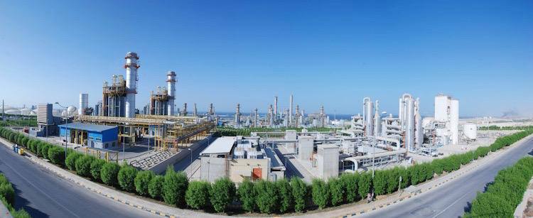 جشنواره محیط زیست 7